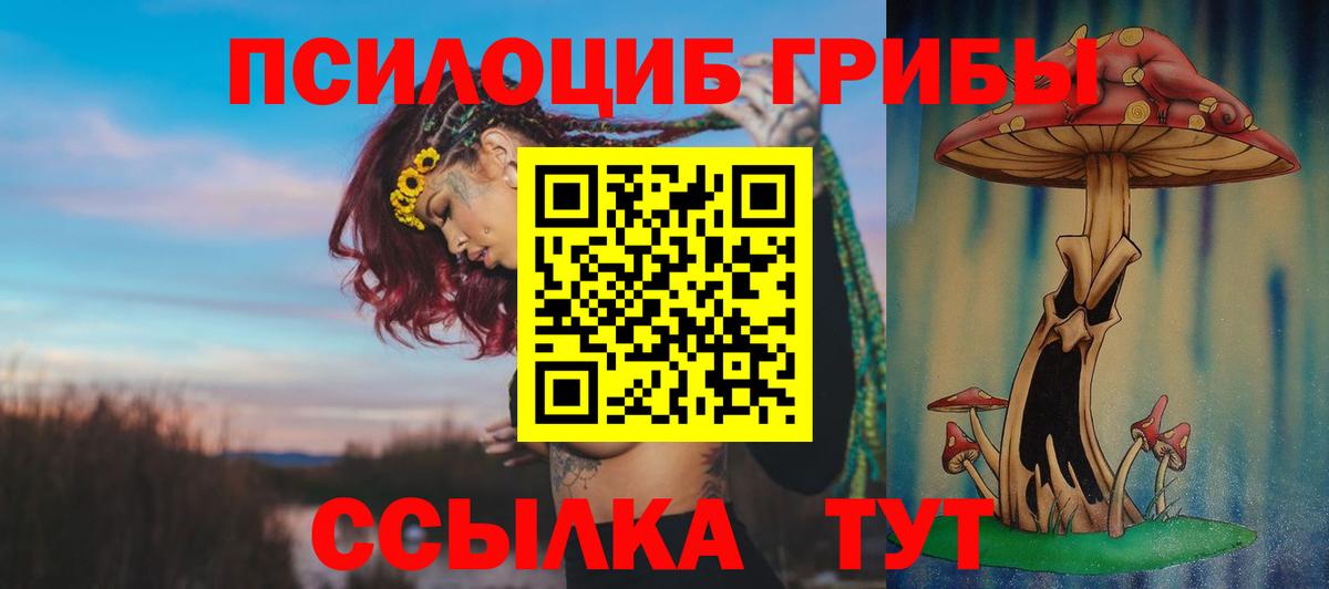 Галлюциногенные грибы ЛСД  Вход с VPN  где купить наркоту  Галлюциногенные грибы Psilocybine cubensis  Электросталь 